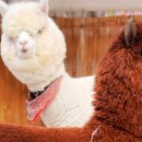 천마온천 호텔 이미지