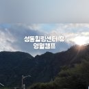 생활권23 | 성동힐링센터휴 영월캠프 카라반 이용 후기 (예약방법, 준비물, 시설소개)