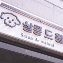 왈왈애견미용 네이버블로그
