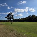 크라운CC 이미지