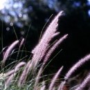 그림풍경 이미지