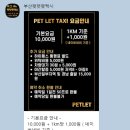 부산펫렛펫택시 이미지