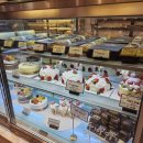 크로와상과자점 | 울산 빵지순례 정일준과자점 두바이 쫀득쿠키 두쫀쿠 소금빵 피스타치오 크로와상 솔직 후기