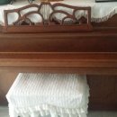 새들피아노 이미지