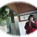 은판나비화장실 이미지