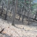 태산농장 2 이미지