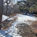 행정사 사무소 창 이미지