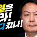 라임모터스 이미지