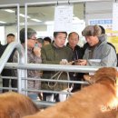 한우전자 이미지