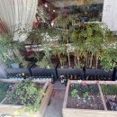 엘리식탁 이미지