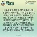 콩깍지 이미지