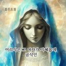 들국화 - 유안진 (낭송 - 블루요정) 이미지