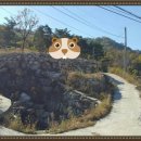 산청부동산공인중개사사무소 이미지