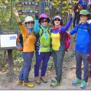 작은동산길 이미지