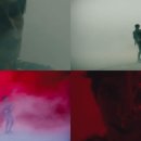 스페셜독 이미지