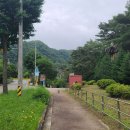 구만리 어룡동 Daum카페