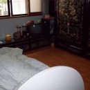 상봉2동 (3) Daum카페