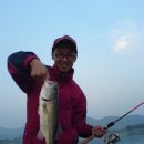 해맑은 주유소 이미지