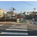 일흥정육식당 이미지