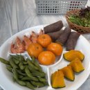 밀양초장집 이미지