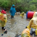 송광초등학교 병설유치원 이미지