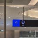 밥잘해주는 누나 | 260306 영화 아르코 롯데시네마 회원시사회 이벤트 당첨 후기 (롯데시네마 수원점/좌석정보)