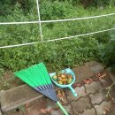 성은자원 이미지