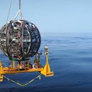 고산태양광발전소 이미지