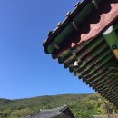 서구 조형벤치 | 서울 탑골공원 팔각정 단청의 근대적 변형