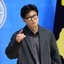 한동훈 딸 허위 스펙 경찰도 덮었다 이미지