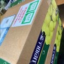 지한농장 이미지