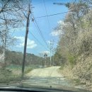 농업회사법인 현천승마(주) | [울산가볼만한곳추천] 양과 알파카가 있는 '포니랜드'