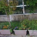 나의 정원 이미지