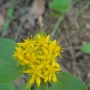 의성골프랜드 이미지