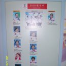 한국체육박물관 Daum카페