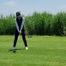 KLPGA 세기P&C ㆍ군산CC 드림투어 2024 시드순위전 시드권획득! 이미지