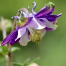 우석대학교 교육대학원 이미지