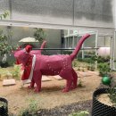 티욤 어프로치 | [대구동구-티욤핑크 반야월] 커피와 브런치 맛집! 저녁대관도 가능한 골프연습장 연말파티하기에도 좋아요