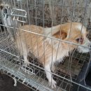 양정농장 이미지