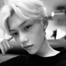 씨스테이 이미지