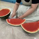 한천가루 수박 젤리 촉감 놀이🍉 이미지