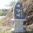 대양뒤 이미지