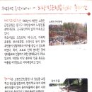 동작충효길 4코스 노량진길 | 동작충효길4코스 노량진길