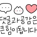 (주)코드블루 이미지