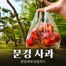새재식당 | 왕사남 촬영지 문경새재 당일치기 후기 사과 쇼핑 + 식당 카페 완벽 코스