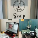 [신림역 두피샵 추천] 숲칼프 | 20대 여자 두피 스케일링 관리 후기