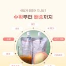 여름애팜 이미지