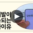 설악산 학술 조사 보고서 네이버블로그