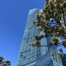 다이닝 | 파크하얏트 부산 디럭스 오션뷰 수영장 다이닝 후기