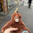 짱이뽑기샵 이미지